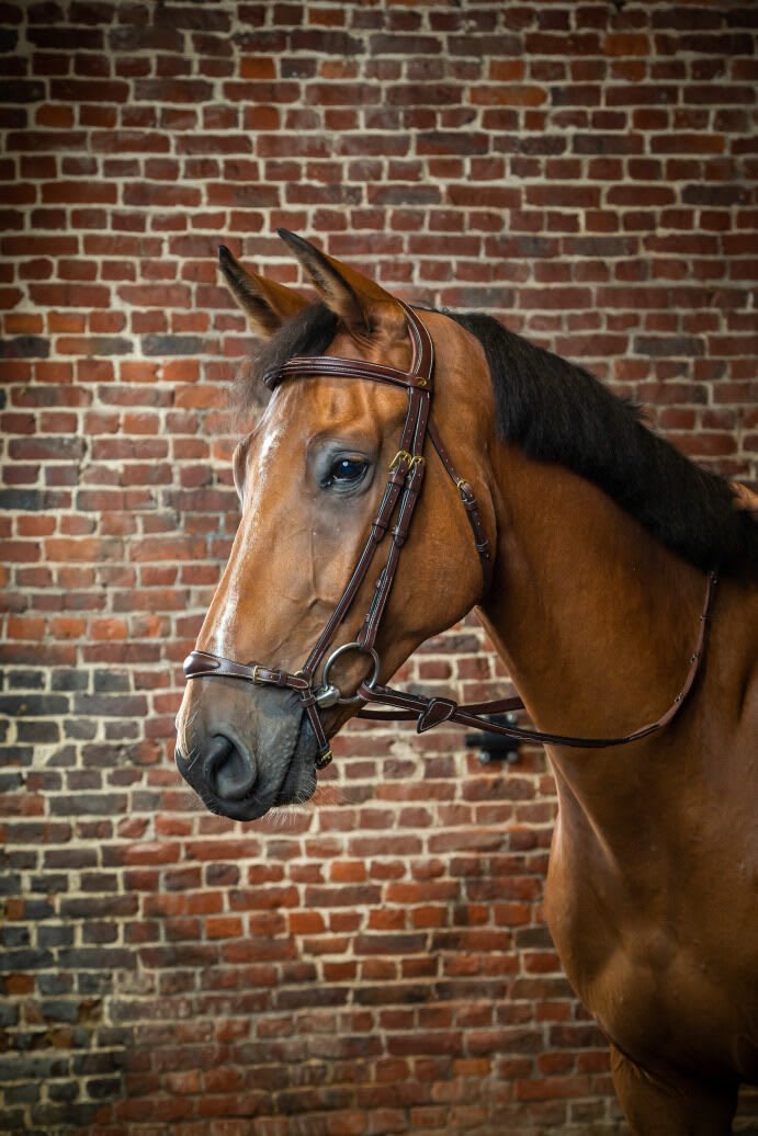 Dyon Adjustable Drop Noseband Bridle D Collection - Løwenborg - Dy'on