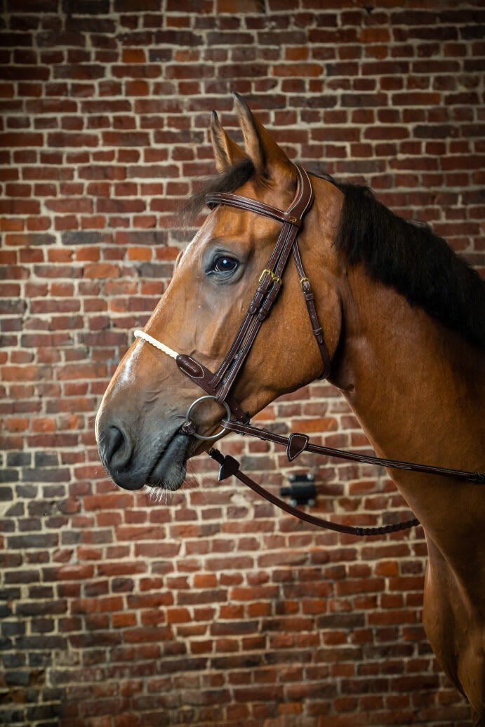 Dyon Rope Noseband Bridle D Collection - Løwenborg - Dy'on