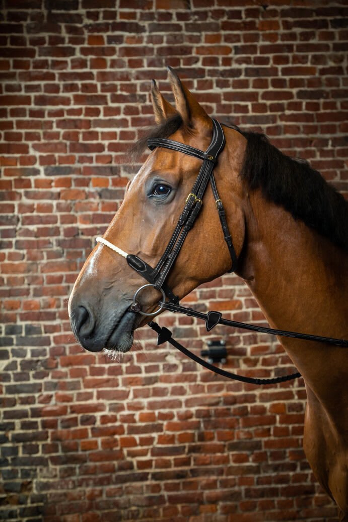 Dyon Rope Noseband Bridle D Collection - Løwenborg - Dy'on