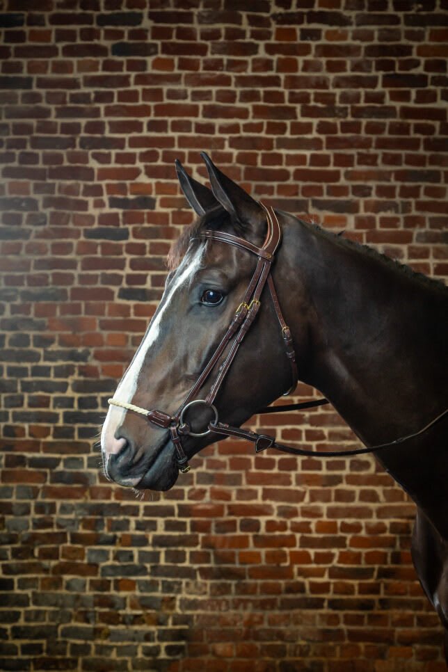 Dyon Rope Drop Noseband Bridle D Collection - Løwenborg - Dy'on