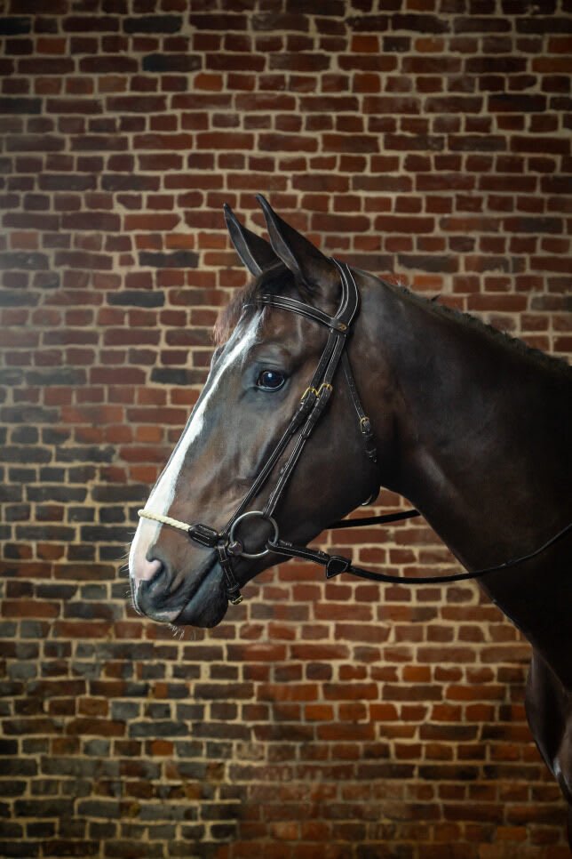Dyon Rope Drop Noseband Bridle D Collection - Løwenborg - Dy'on