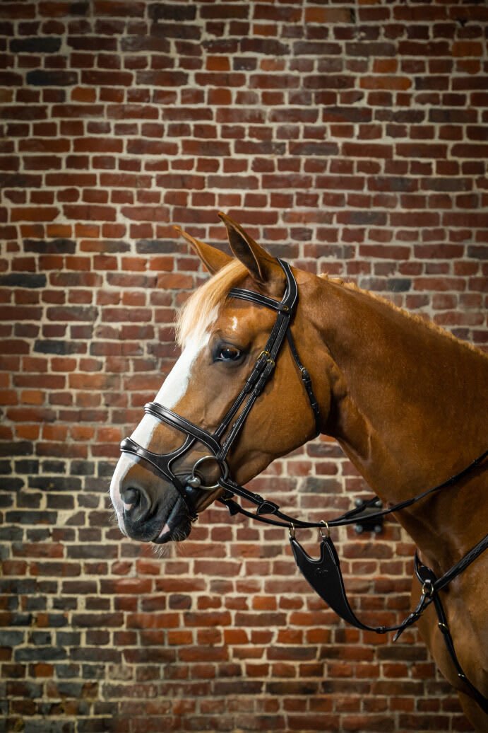 Dyon Double Noseband Bridle D Collection - Løwenborg - Dy'on