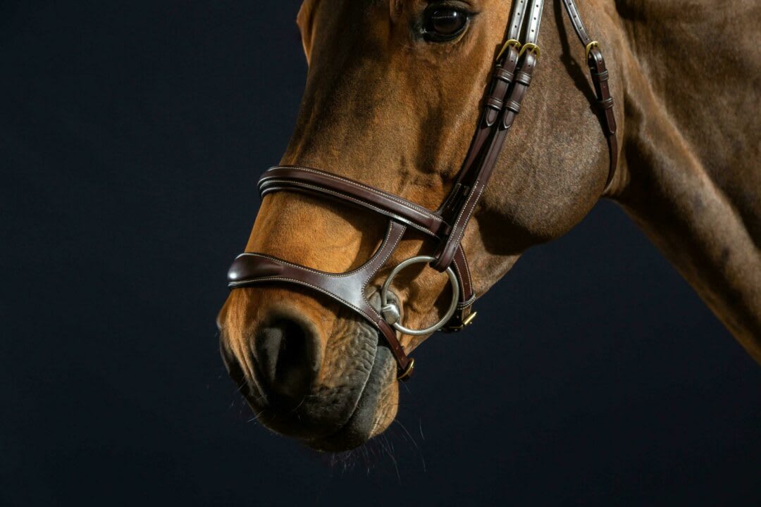 Dyon Double Noseband Bridle D Collection - Løwenborg - Dy'on