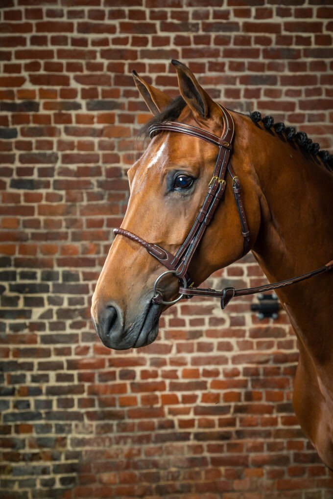 Dyon Leather Covered Rope Noseband Bridle D Collection - Løwenborg - Dy'on