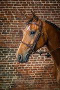Dyon Leather Covered Rope Noseband Bridle D Collection - Løwenborg - Dy'on