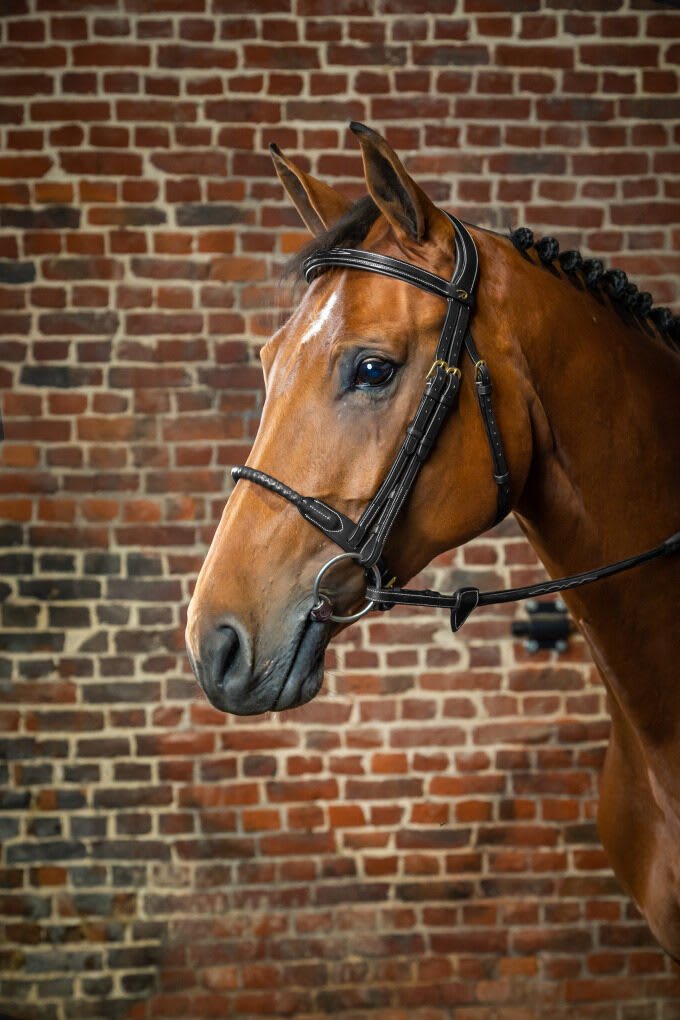 Dyon Leather Covered Rope Noseband Bridle D Collection - Løwenborg - Dy'on