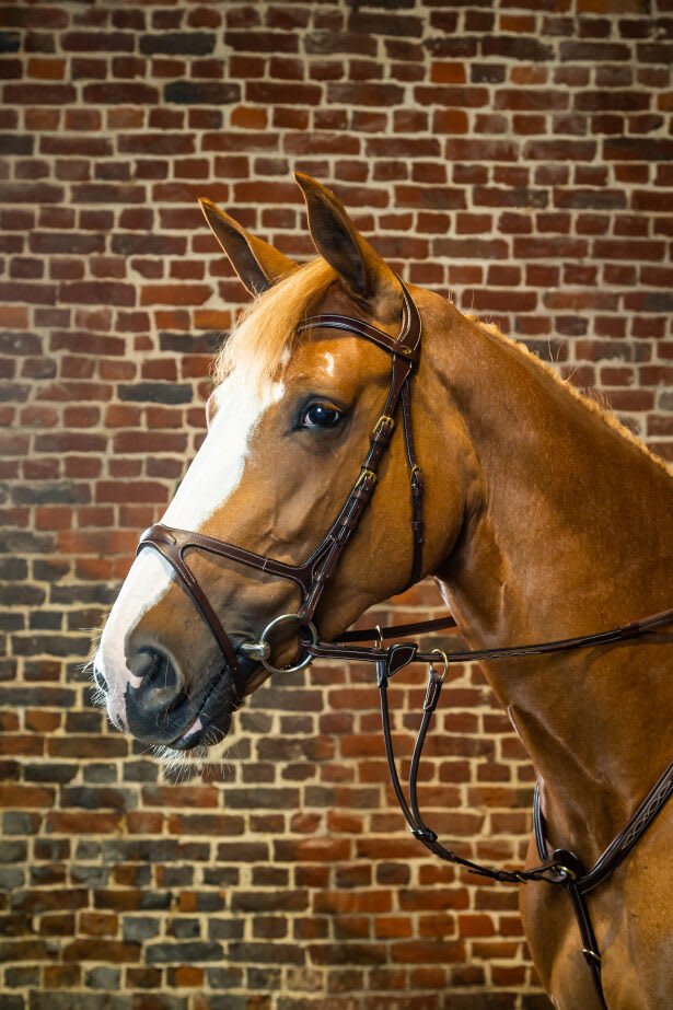 Dyon X - Fit Bridle D Collection - Løwenborg - Dy'on