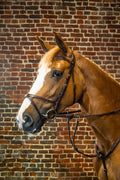 Dyon X - Fit Bridle D Collection - Løwenborg - Dy'on