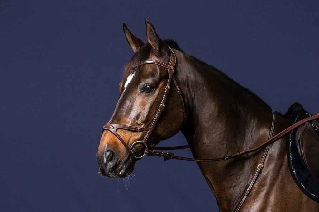 Dyon X - Fit Bridle D Collection - Løwenborg - Dy'on