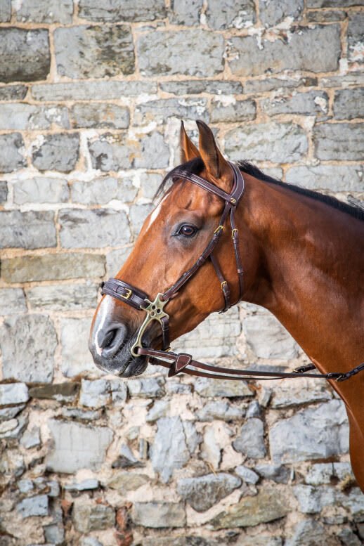 Dyon Hackamore Bridle D Collection - Løwenborg - Dy'on
