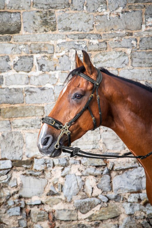 Dyon Hackamore Bridle D Collection - Løwenborg - Dy'on