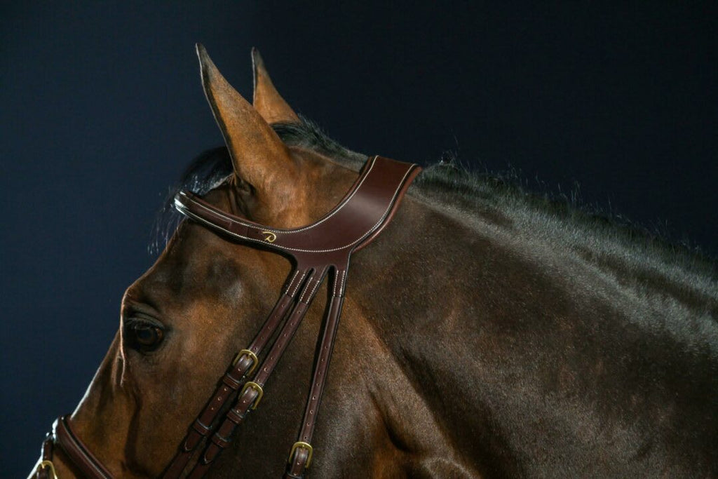 Dyon Difference Bridle D Collection - Løwenborg - Dy'on