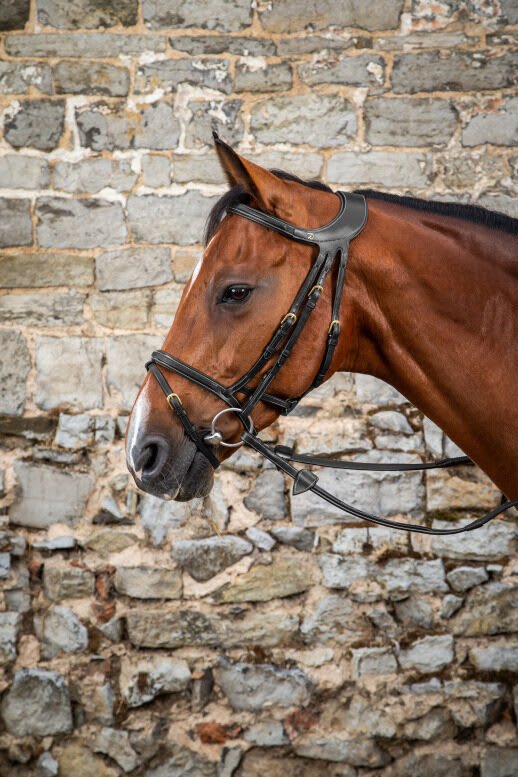 Dyon Difference Bridle D Collection - Løwenborg - Dy'on