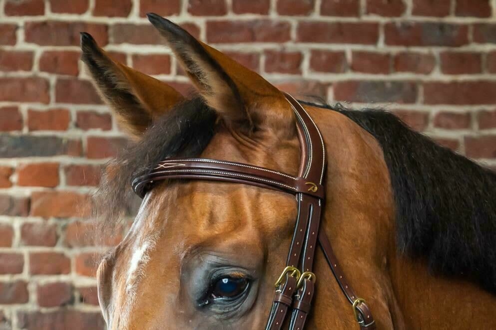 Dyon Straight Browband D Collection - Løwenborg - Dy'on