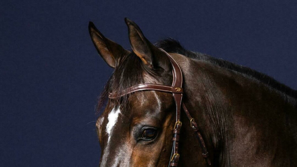 Dyon Flat Leather V - Shaped Browband D Collection - Løwenborg - Dy'on