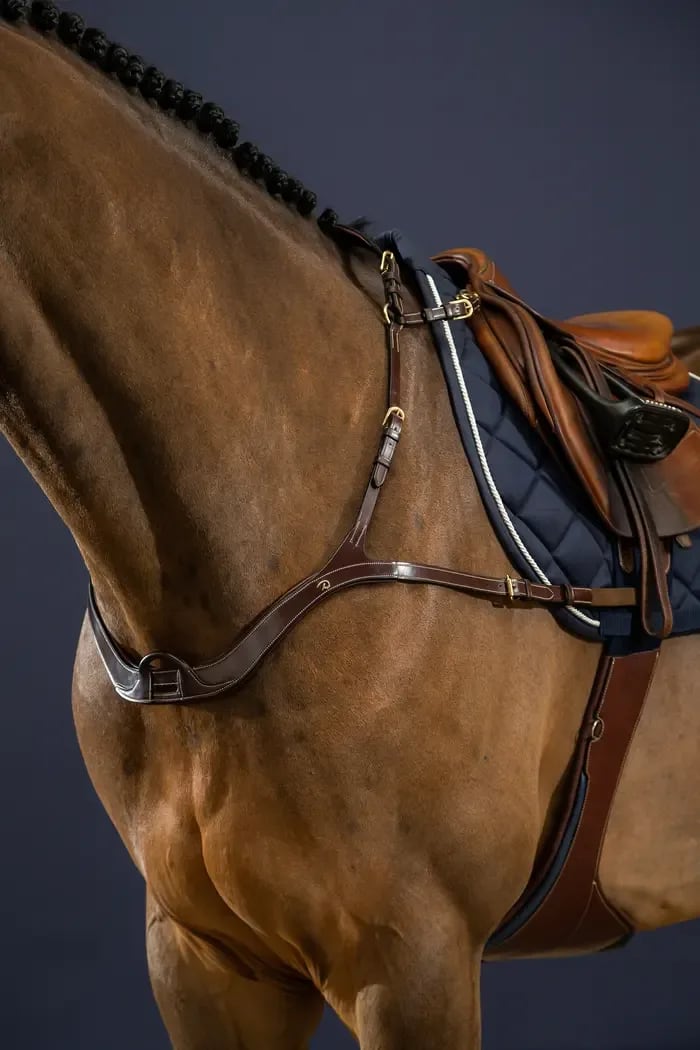 Dyon Anatomical Breastplate D Collection - Løwenborg - Dy'on