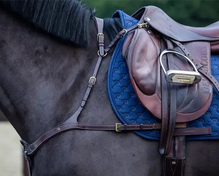 Dyon Anatomical Breastplate D Collection - Løwenborg - Dy'on