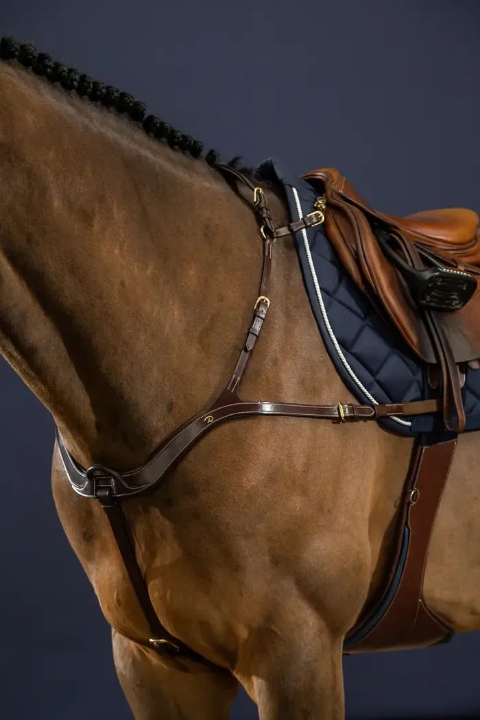 Dyon Anatomical Breastplate D Collection - Løwenborg - Dy'on