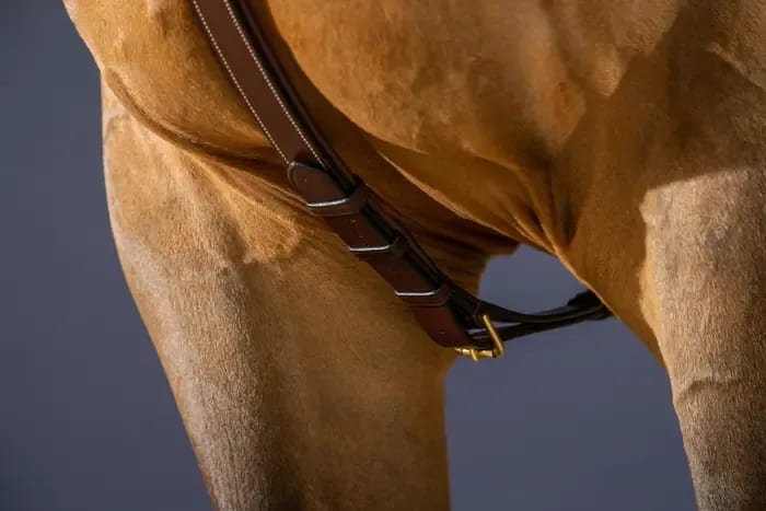 Dyon Long Bridge Breastplate D Collection - Løwenborg - Dy'on