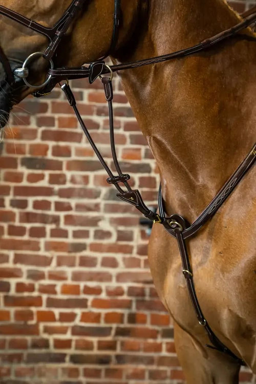 Dyon Elastic Running Martingale Attachment D Collection - Løwenborg - Dy'on