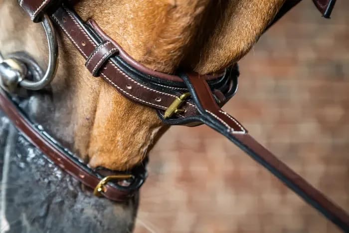 Dyon Standing Martingale Attachment D Collection - Løwenborg - Dy'on