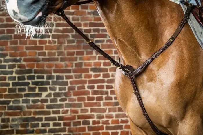 Dyon Standing Martingale Attachment D Collection - Løwenborg - Dy'on