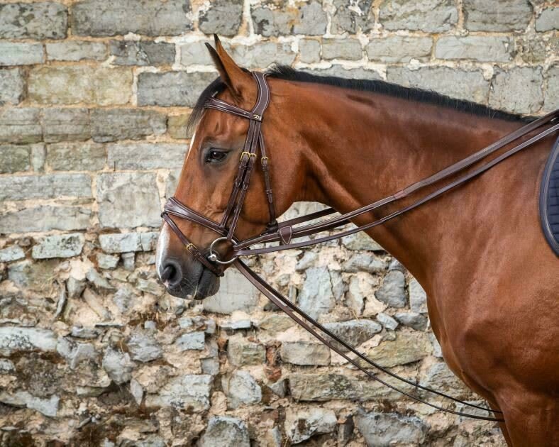 Dyon Full Leather Draw Reins 13mm D Collection - Løwenborg - Dy'on