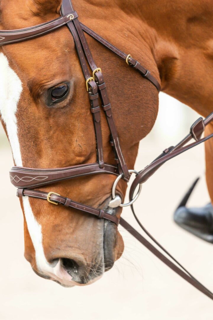 Dyon Full Leather Draw Reins 13mm D Collection - Løwenborg - Dy'on