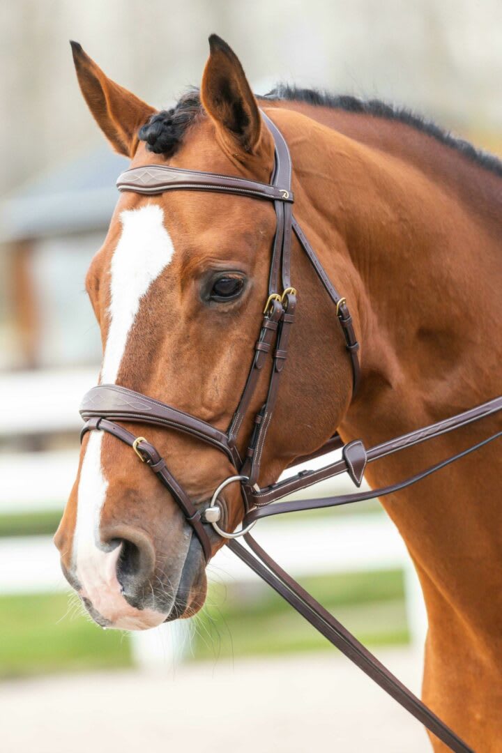Dyon Full Leather Draw Reins 13mm D Collection - Løwenborg - Dy'on
