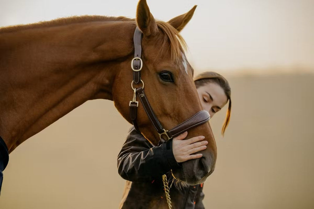 Dyon Leather Head Collar D Collection - Løwenborg - Dy'on