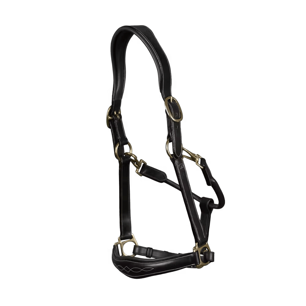 Dyon Leather Head Collar D Collection - Løwenborg - Dy'on