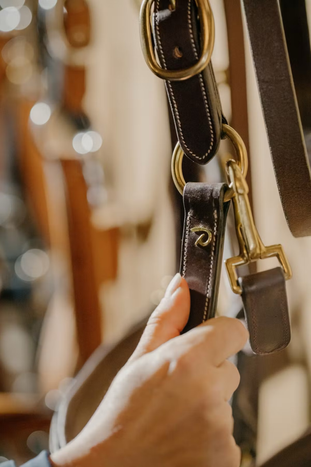 Dyon Leather Head Collar D Collection