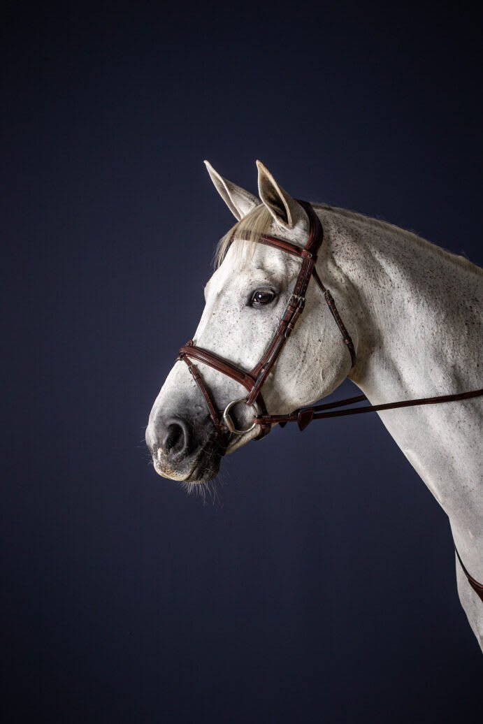 Dyon Flash Noseband Bridle New English Collection - Løwenborg - Dy'on