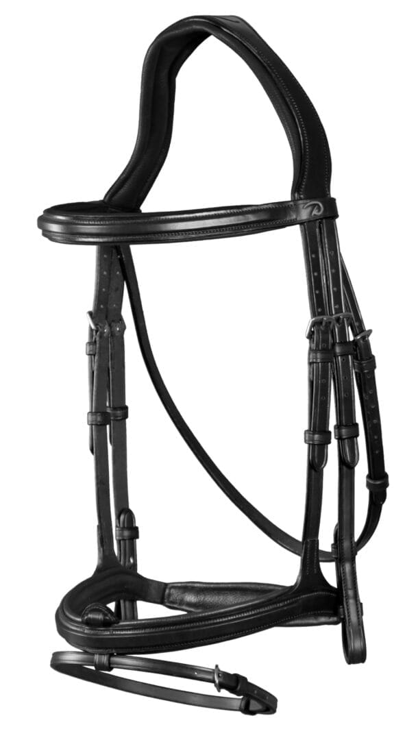 Dyon Flash Noseband Bridle New English Collection - Løwenborg - Dy'on