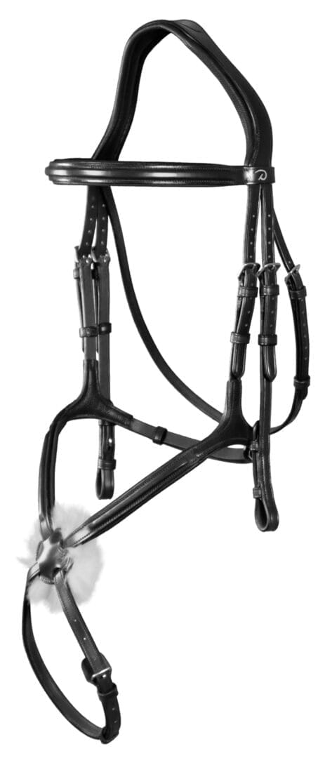 Dyon Fig 8 Noseband Bridle New English Collection - Løwenborg - Dy'on