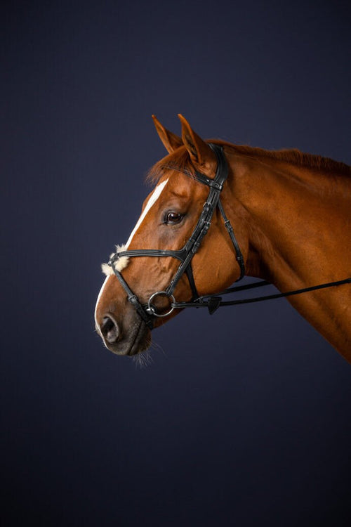 Dyon Fig 8 Noseband Bridle New English Collection - Løwenborg - Dy'on