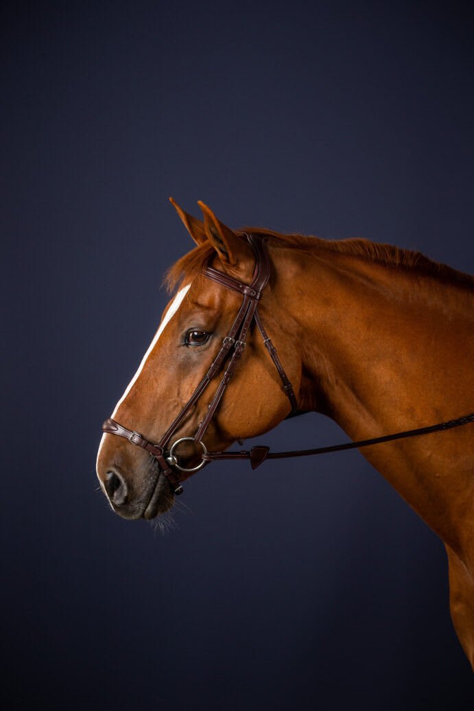 Dyon Adjustable Drop Noseband Bridle New English Collection - Løwenborg - Dy'on