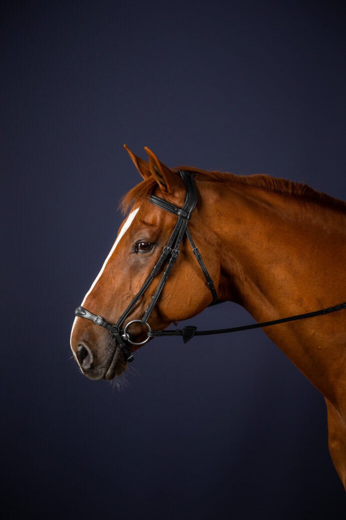 Dyon Adjustable Drop Noseband Bridle New English Collection - Løwenborg - Dy'on