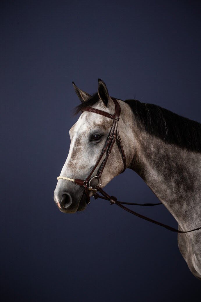 Dyon Rope Drop Noseband Bridle New English Collection - Løwenborg - Dy'on