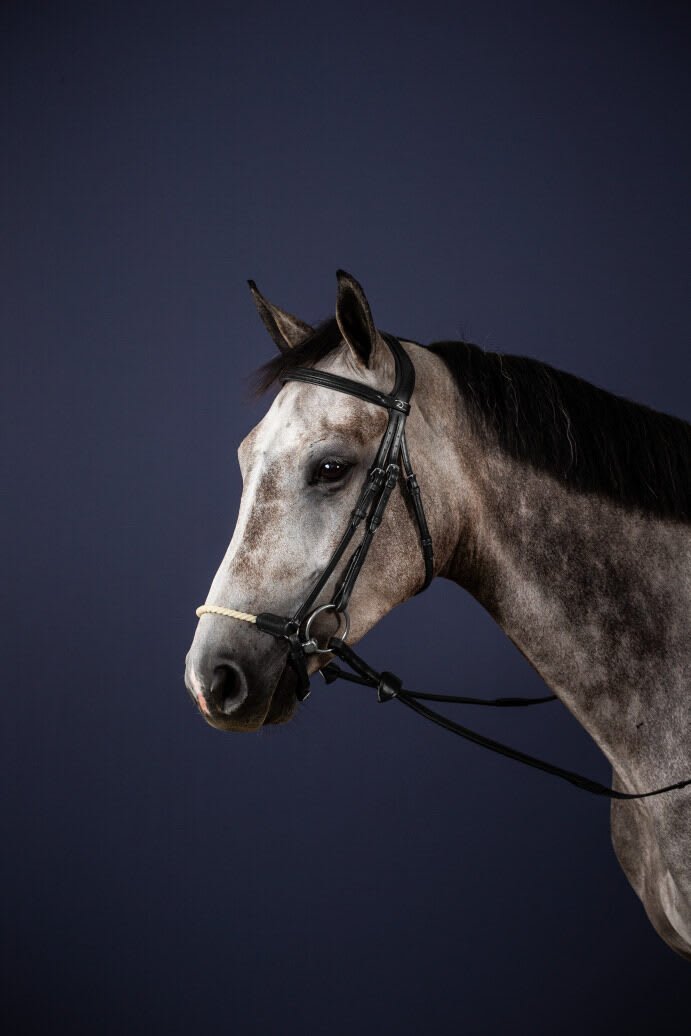 Dyon Rope Drop Noseband Bridle New English Collection - Løwenborg - Dy'on
