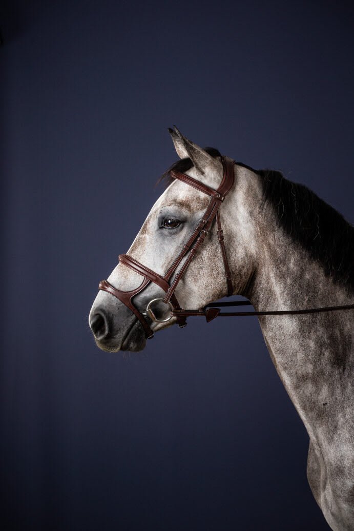 Dyon Double Noseband Bridle New English Collection - Løwenborg - Dy'on