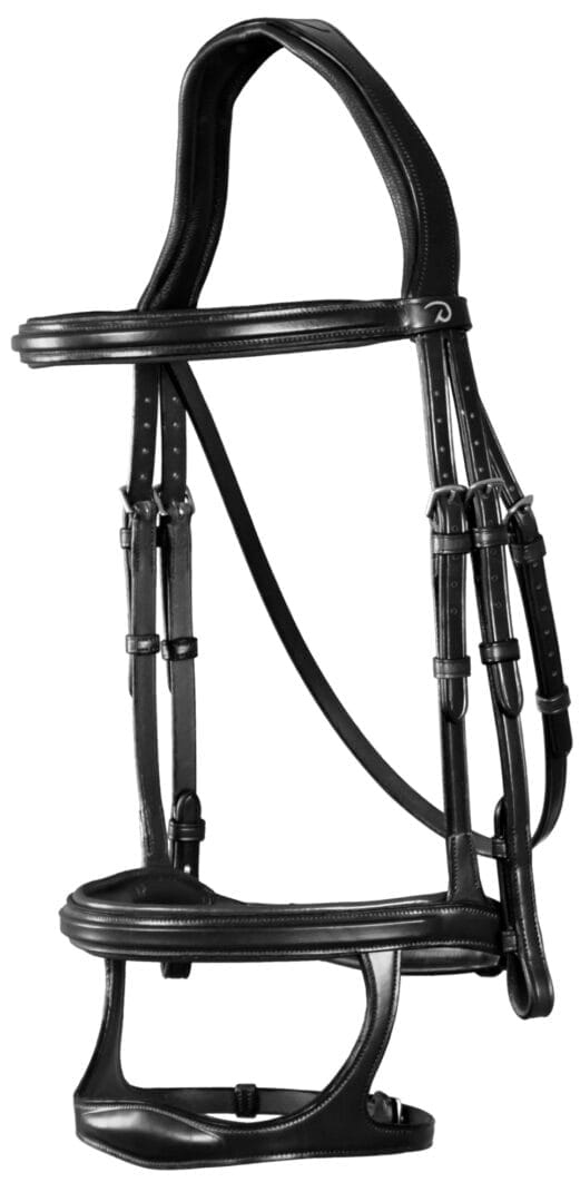 Dyon Double Noseband Bridle New English Collection - Løwenborg - Dy'on