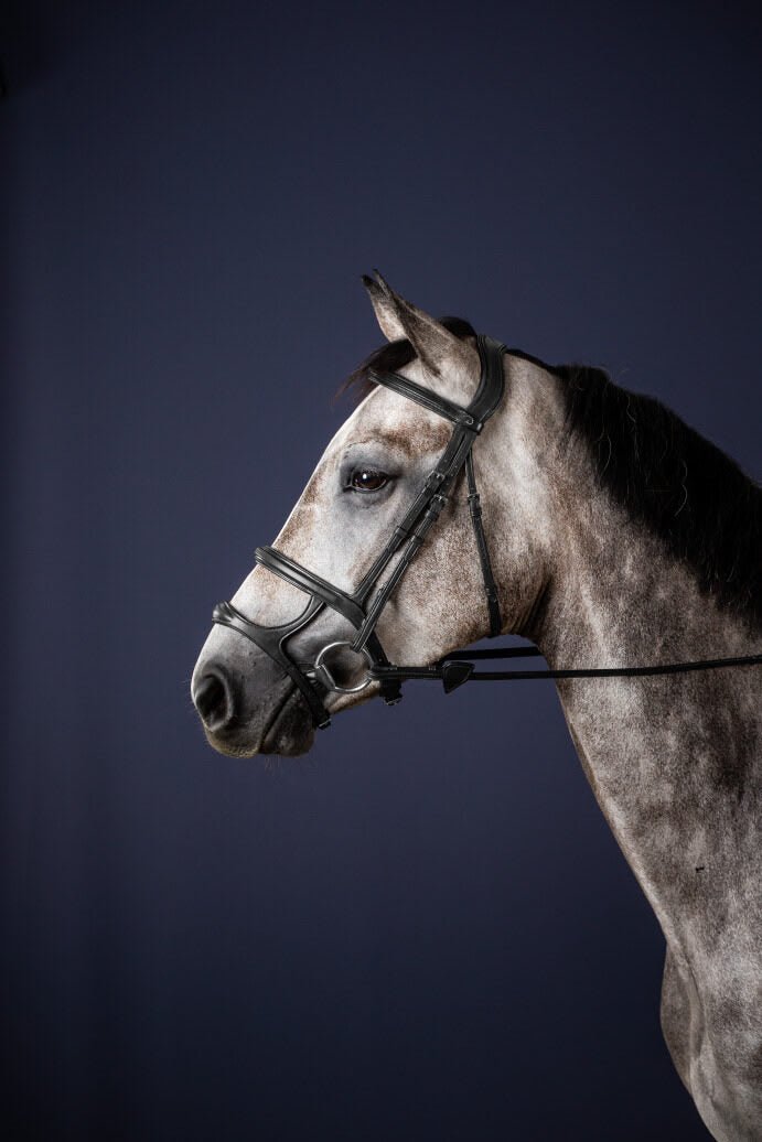 Dyon Double Noseband Bridle New English Collection - Løwenborg - Dy'on