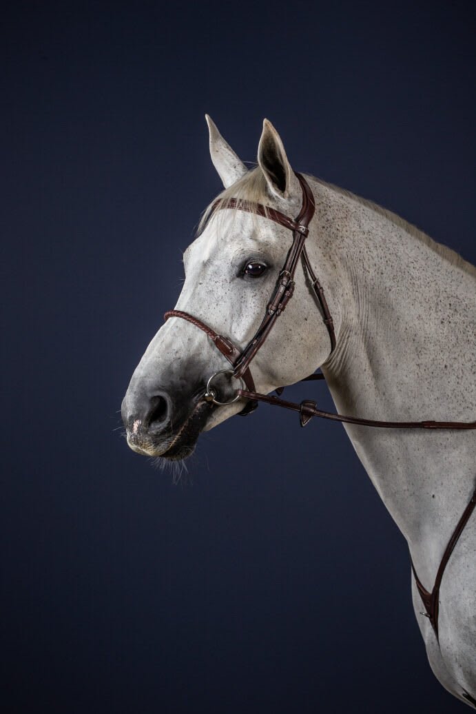 Dyon Leather Covered Rope Noseband Bridle New English Collection - Løwenborg - Dy'on