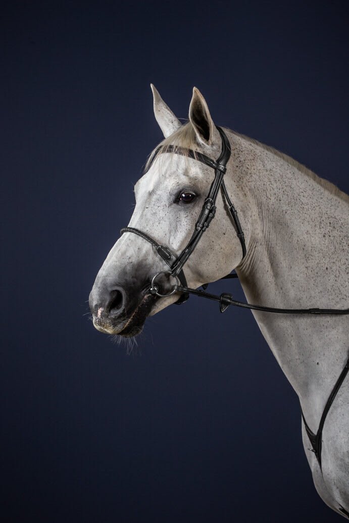 Dyon Leather Covered Rope Noseband Bridle New English Collection - Løwenborg - Dy'on