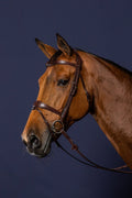 Dyon Anatomic Flash Noseband Bridle New English Collection - Løwenborg - Dy'on