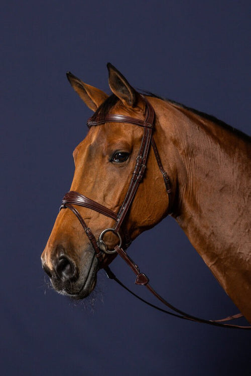 Dyon Anatomic Flash Noseband Bridle New English Collection - Løwenborg - Dy'on