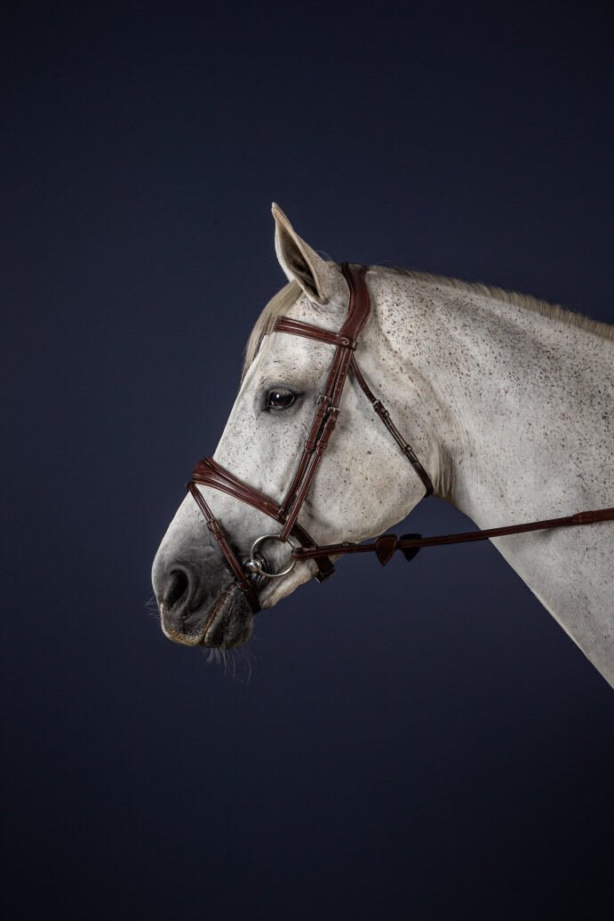 Dyon Anatomic Flash Noseband Bridle New English Collection - Løwenborg - Dy'on