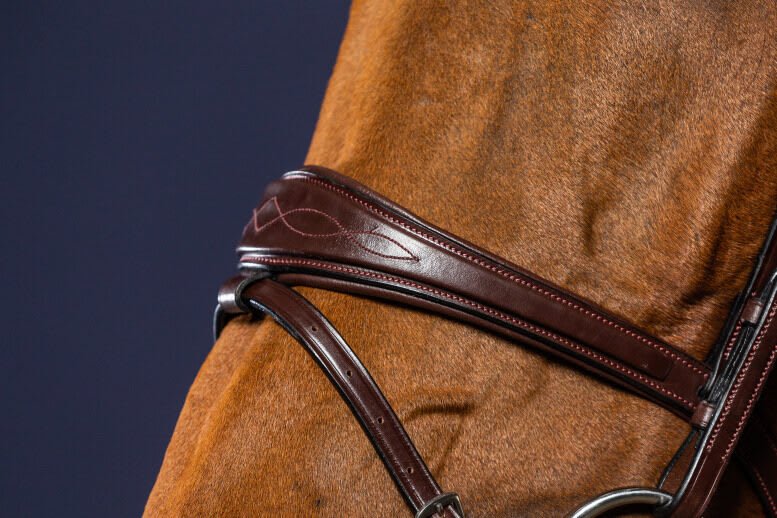 Dyon Anatomic Flash Noseband Bridle New English Collection - Løwenborg - Dy'on