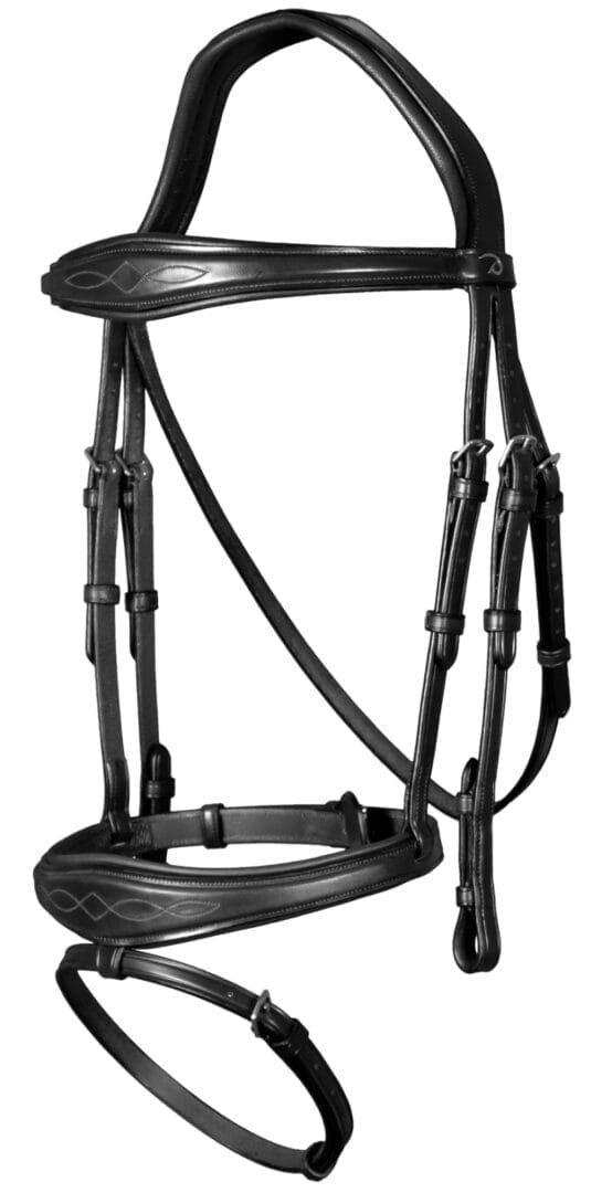 Dyon Anatomic Flash Noseband Bridle New English Collection - Løwenborg - Dy'on